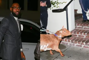 The Lakers superstar is living a great moment as an athlete, even when the team is still away from the goal; here is his latest statement to the NBA world