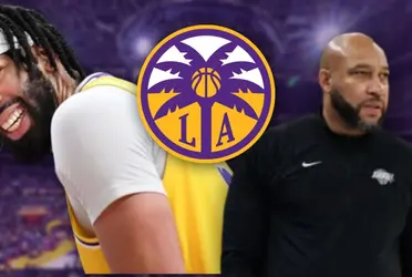 The lesson from the LA Sparks to Darvin Ham that excites Anthony Davis
